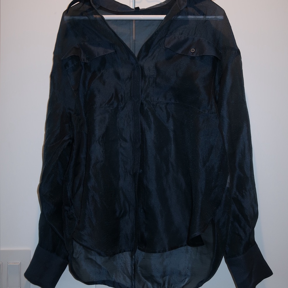 Express Dark Teal Sheer Button-Front Blouse